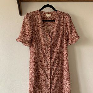 Monteau Fall Button up Dress